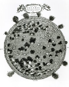 太陽の表面に黒点が表示された図、「Mundus Subterraneus」のイラスト、アムステルダム1664年5月発行 作： Athanasius Kircher